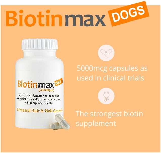 BiotinMax